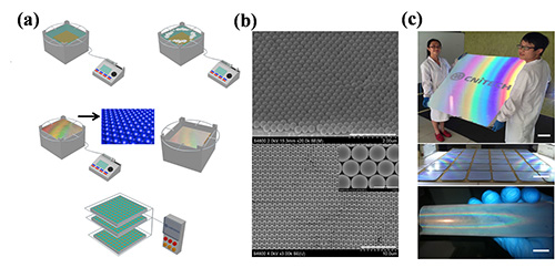 宁波材料所在基于超薄单晶硅薄膜的有机/无机异质结太阳能电池方面